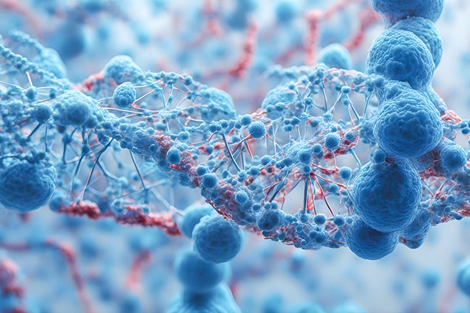 Photo of Cellular organisms