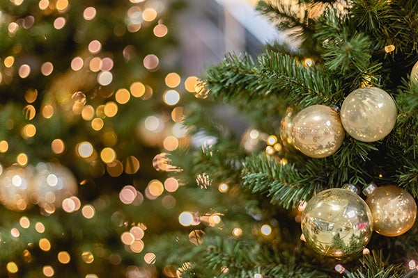 Christmas tree with lights