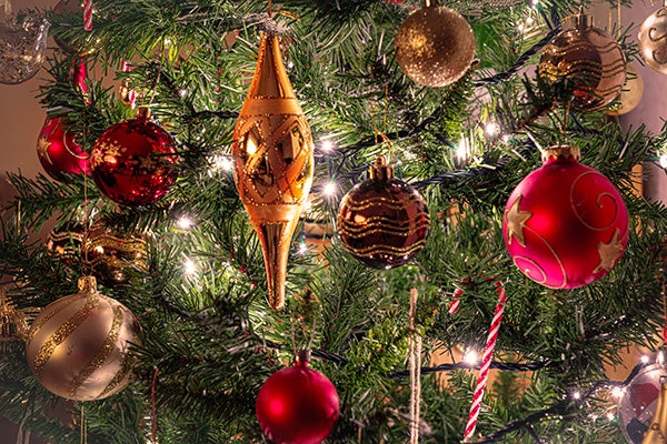 Christmas tree with lights