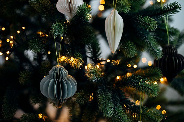 Christmas tree with lights