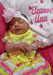 Eleanor Ann