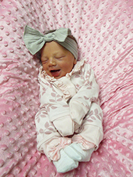 Aria Willow