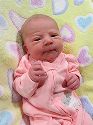 Savannah Dawn