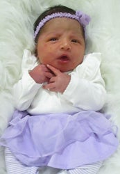 London Rose