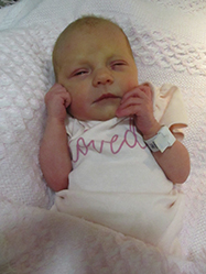 Claudia Rose Jade