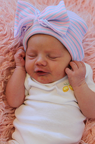 Harvey Jane