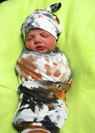 Colt Leo