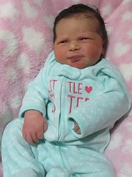 Everly June