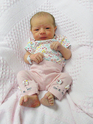 Harper Jo