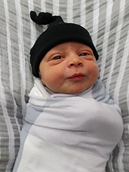 Rocco Marley