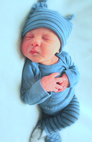 Huxley Jo