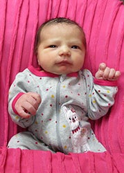 Willow Erynne