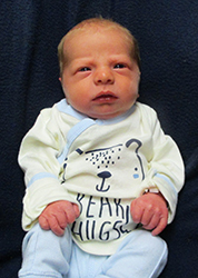 Jamison Lee