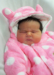 Harley Lorene