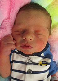 Atticus Ryan