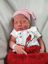 Dexter Xaiver