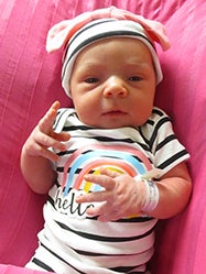Harlow Layne