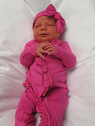 Everly Elise