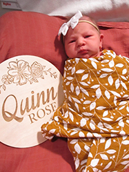 Quinn Rose