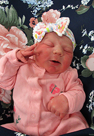 Avery Josephine