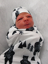 Oliver Theodore