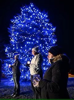 remembrance tree
